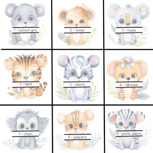 Illustration affiche naissance